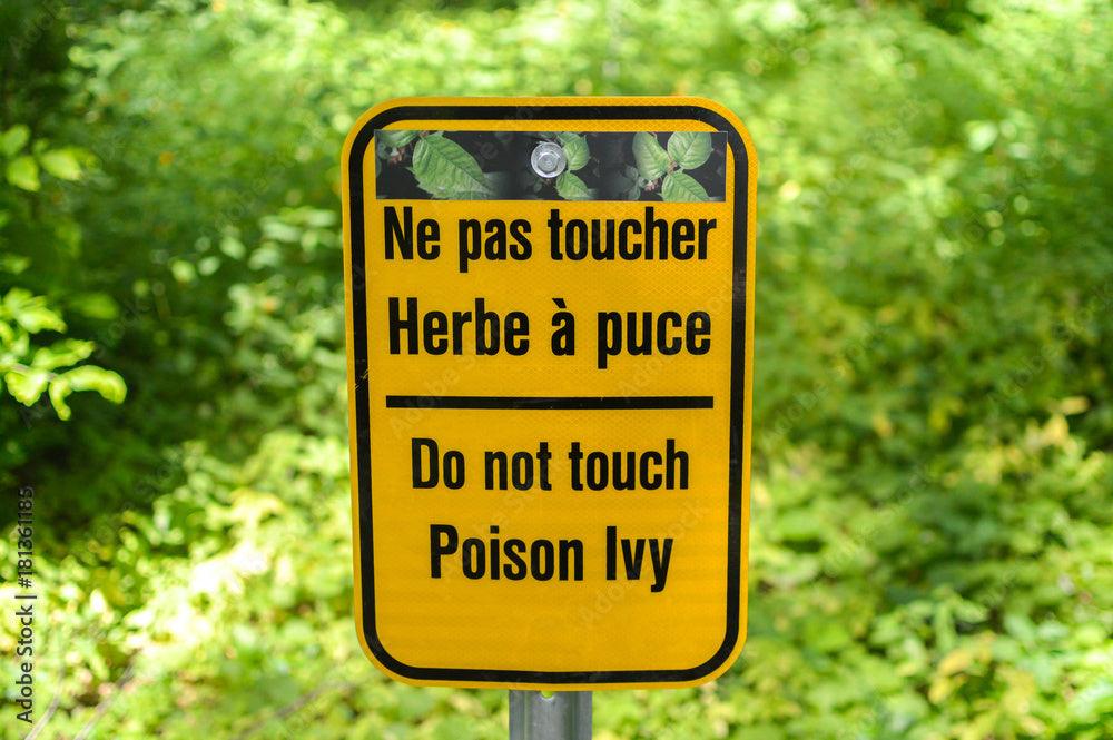 Five Myths About Poison Ivy and Other Poisonous Plants - Kenet MD Skincare